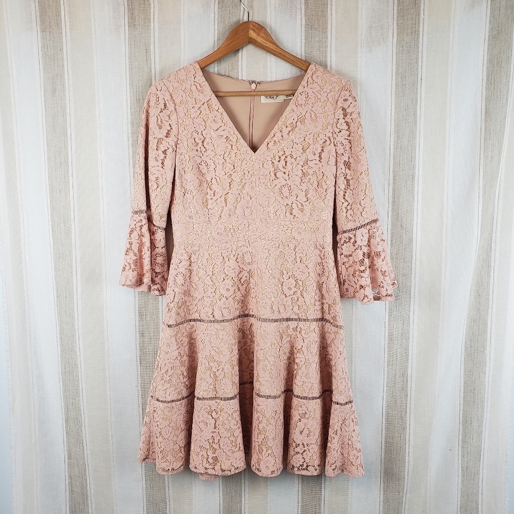 Eliza J Pink Lace Dress